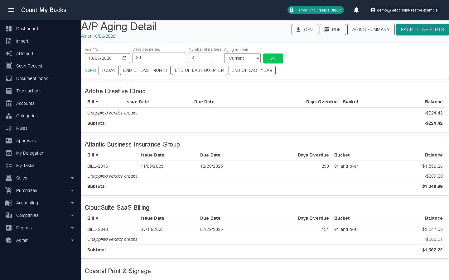 AP Aging Detail screenshot