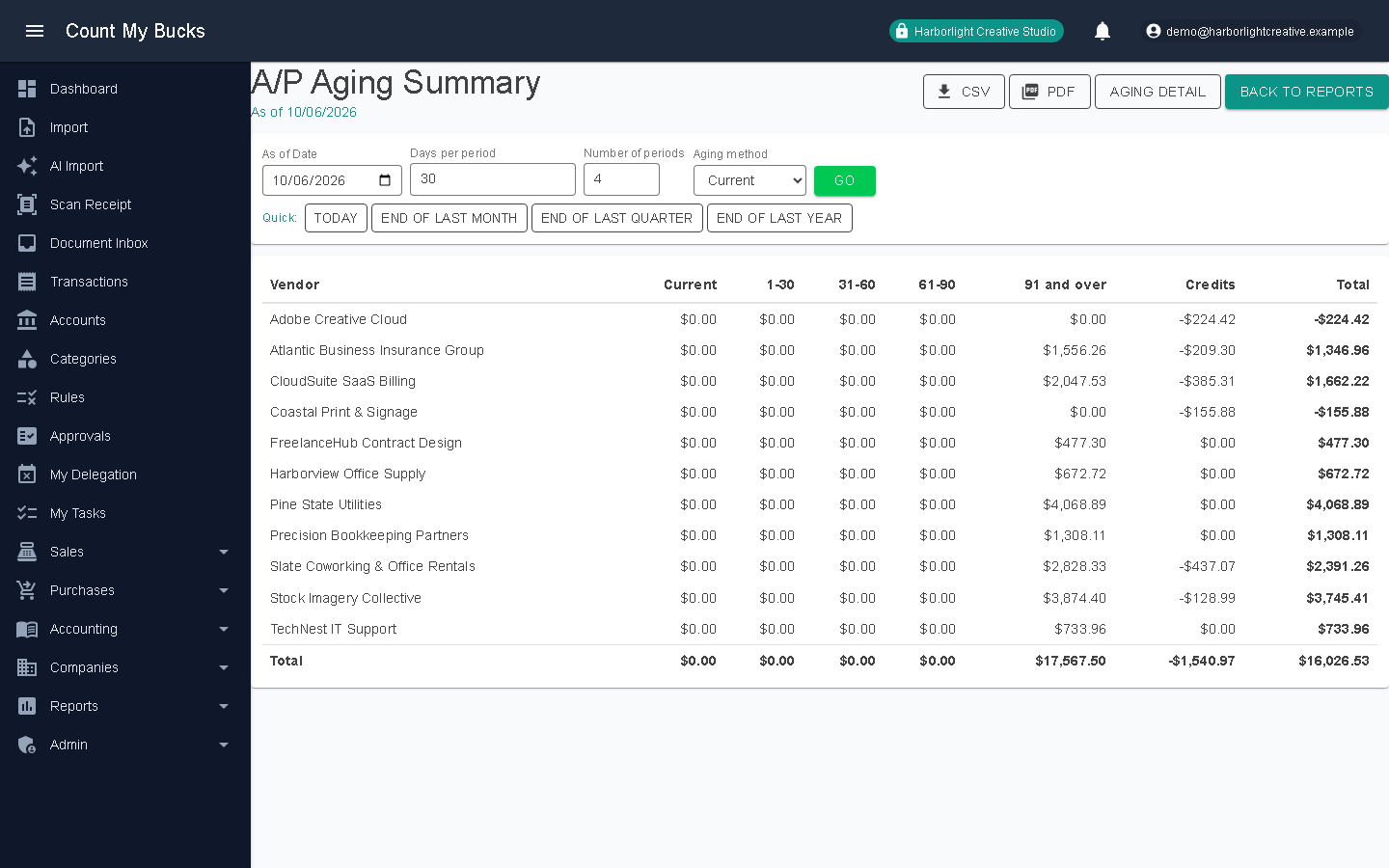 AP Aging Summary screenshot